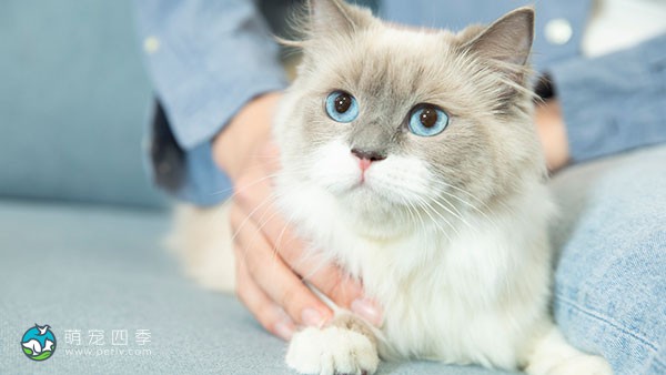 2《国家土地地球化学质量报告2022》发布 2-2